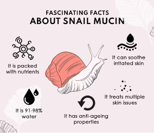 Uncovering the Beauty Secret the Power of Snail Mucin in Skincare