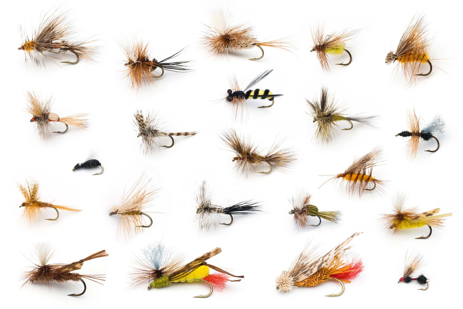 A Comprehensive Guide to the Timeless Craft of Fly Fishing