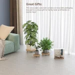 Trio of Wooden Plant Stands Versatile Display for Indoor and Outdoor Greenery
