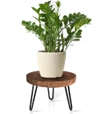 This mid-century wooden plant stand is a thoughtful and stylish gift for any plant lover. Whether for a housewarming, birthday, or special occasion,