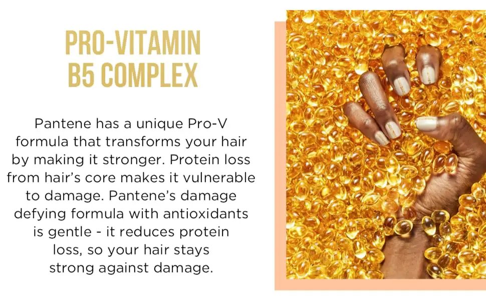Pro vitamin Shampoo and Conditioner Set